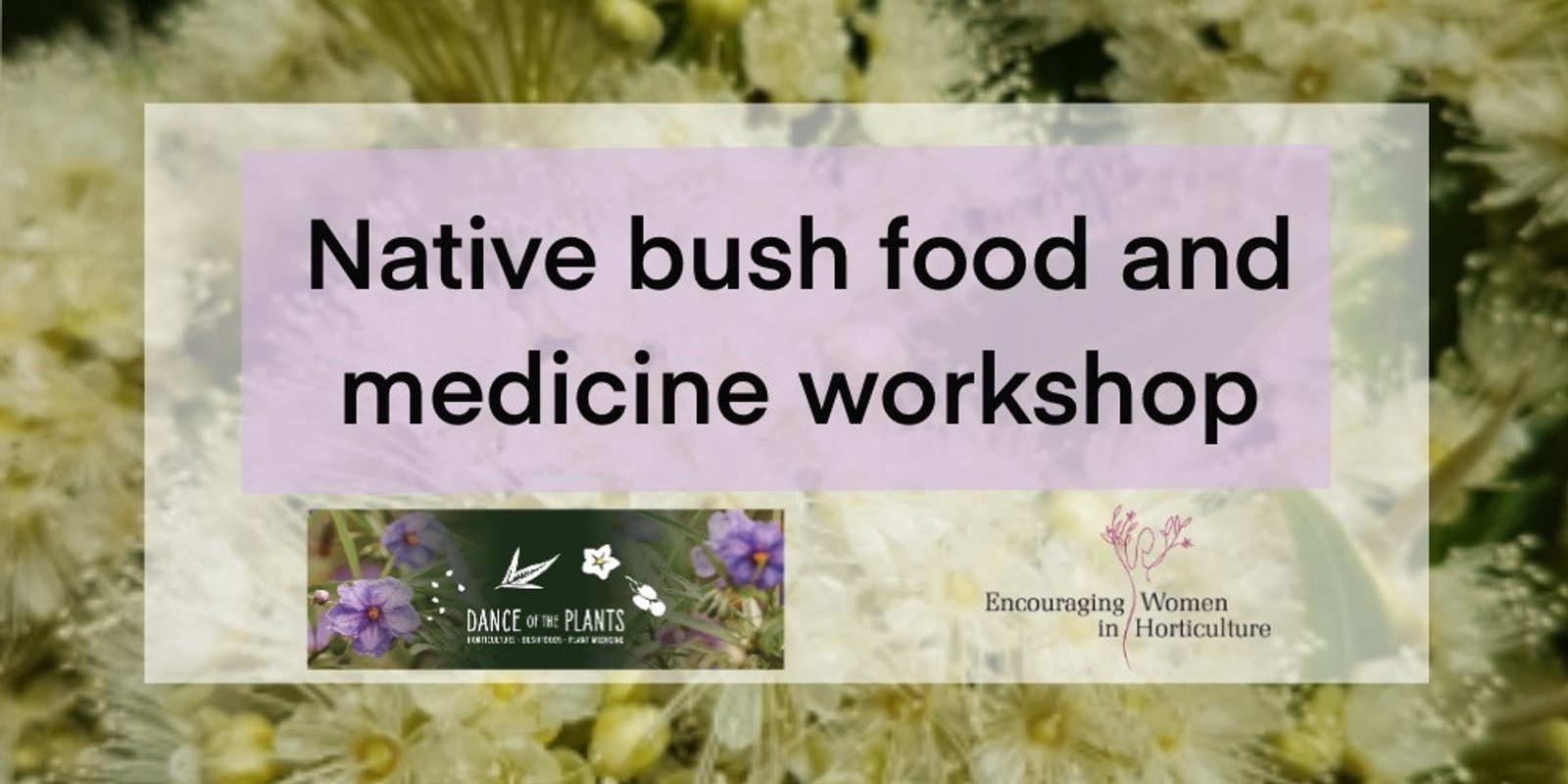 Banner image for RESCHEDULED Native bush food and medicine workshop