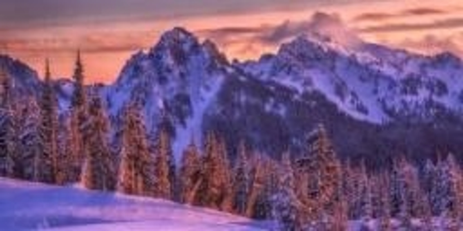 Banner image for Bob Ross Oils Class Mon Jan 9th 9am-3pm $85 Includes All Materials