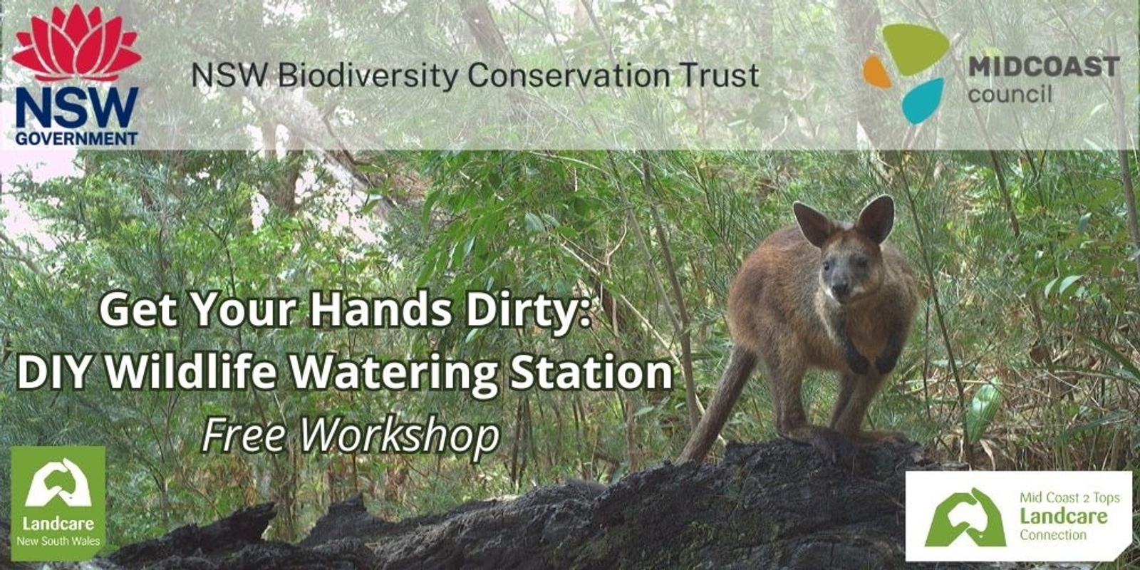 Banner image for PRACTICAL SKILLS WORKSHOP - Wildlife Watering Stations