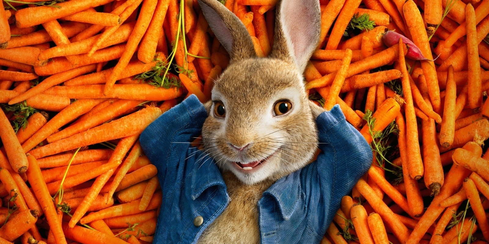 Banner image for Apricus Easter Outdoor Cinema - Peter Rabbit