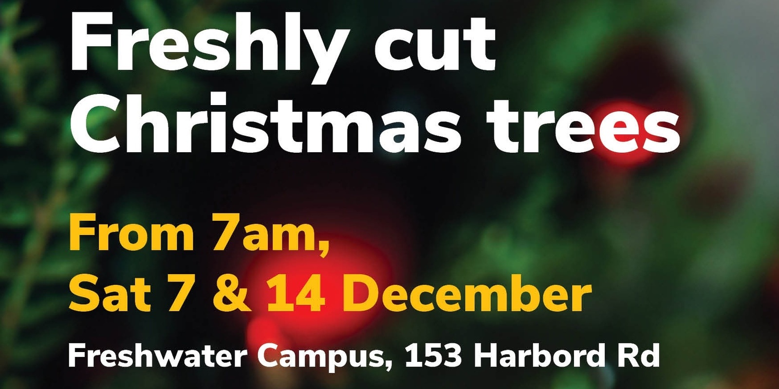 Banner image for Fresh Real Scout Christmas Trees Sat 7 & 14 Dec 2024