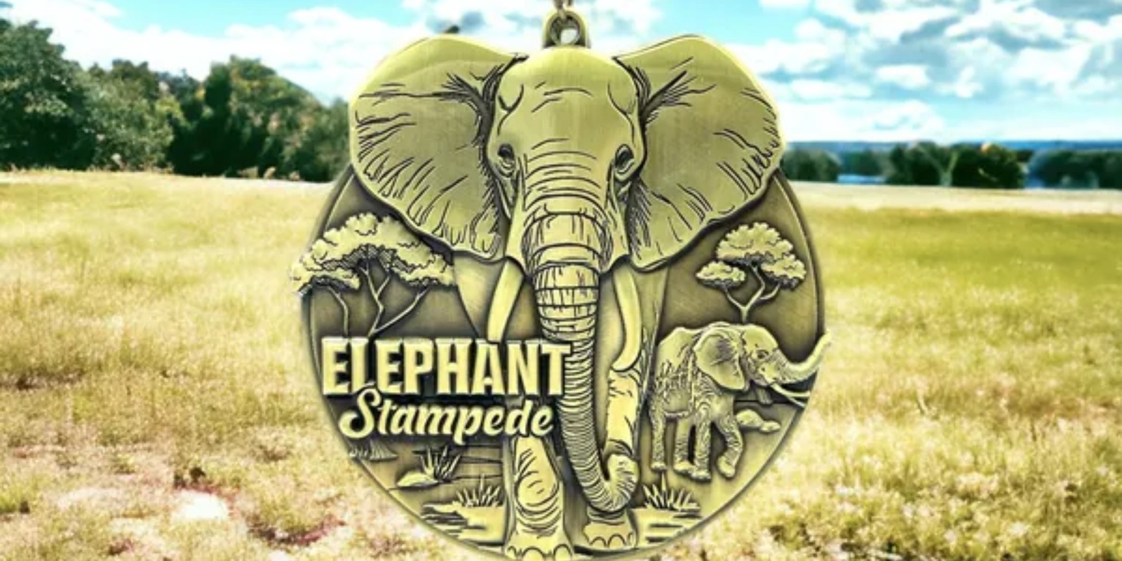 Banner image for 2024 Elephant Stampede 1M 5K 10K 13.1 26.2- Benefitting The Elephant Sanctuary