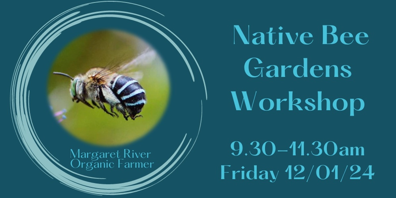 Banner image for Native Bee Gardens workshop