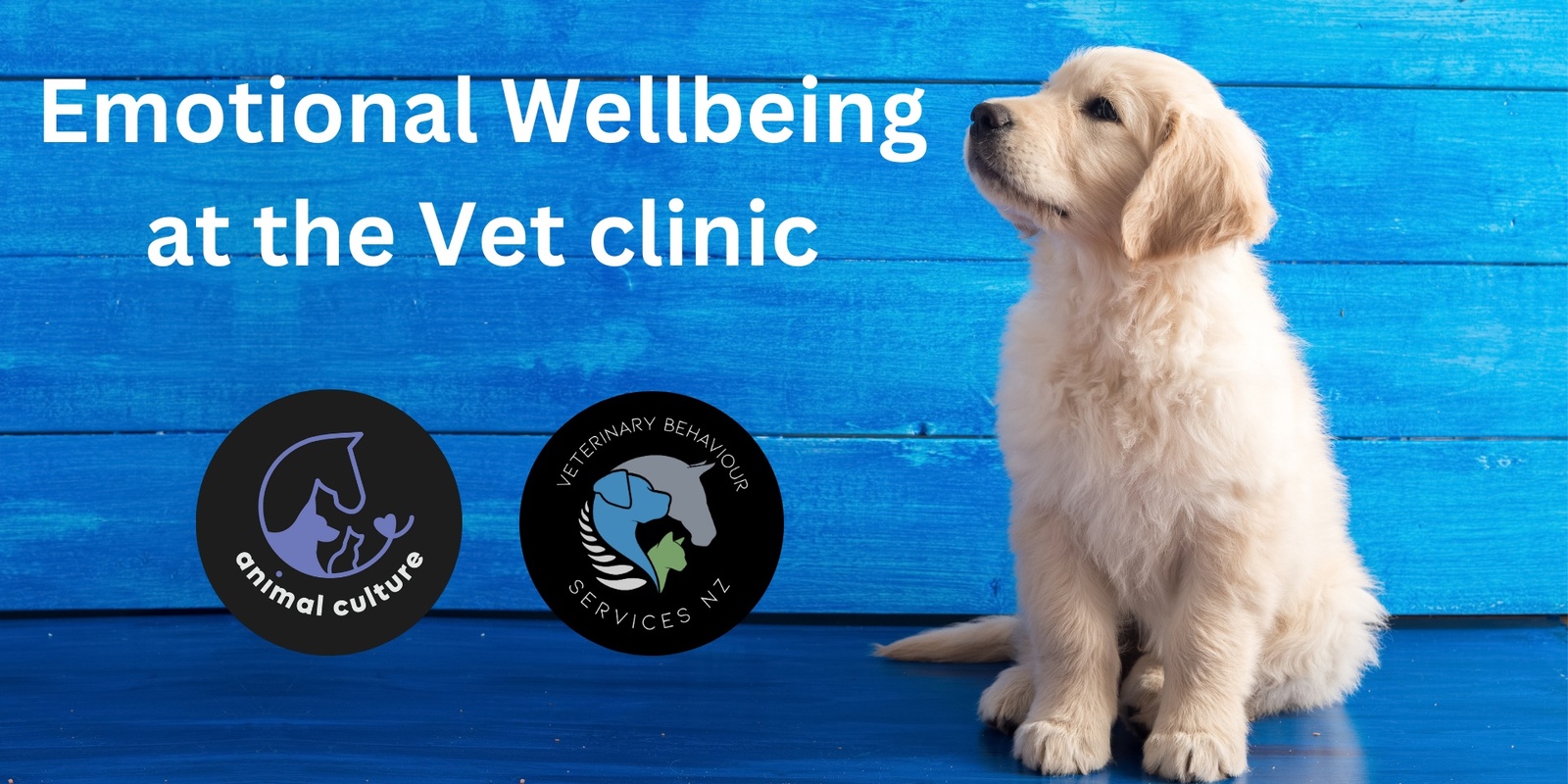 Banner image for Patient Emotional Wellbeing in the Veterinary Clinic 