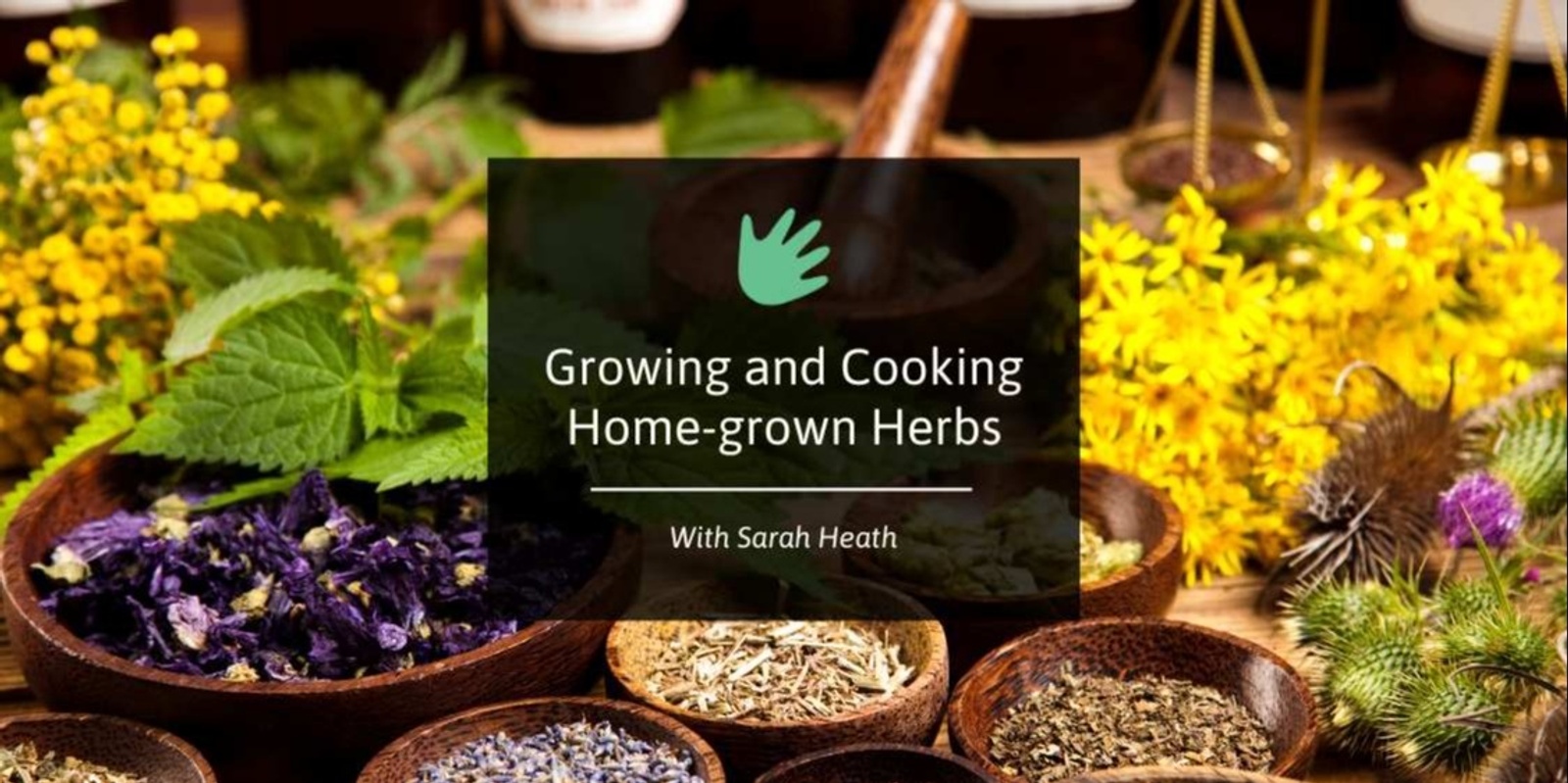 Banner image for Growing and Cooking Home-grown Herbs 🌼