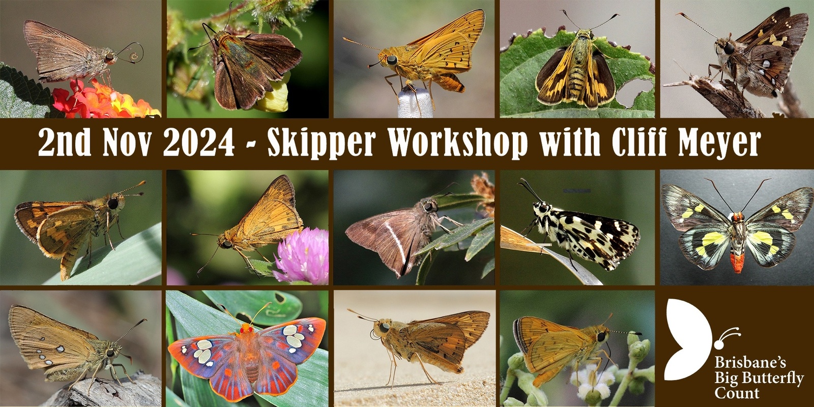 Banner image for Skipper Identification Workshop with Cliff Meyer