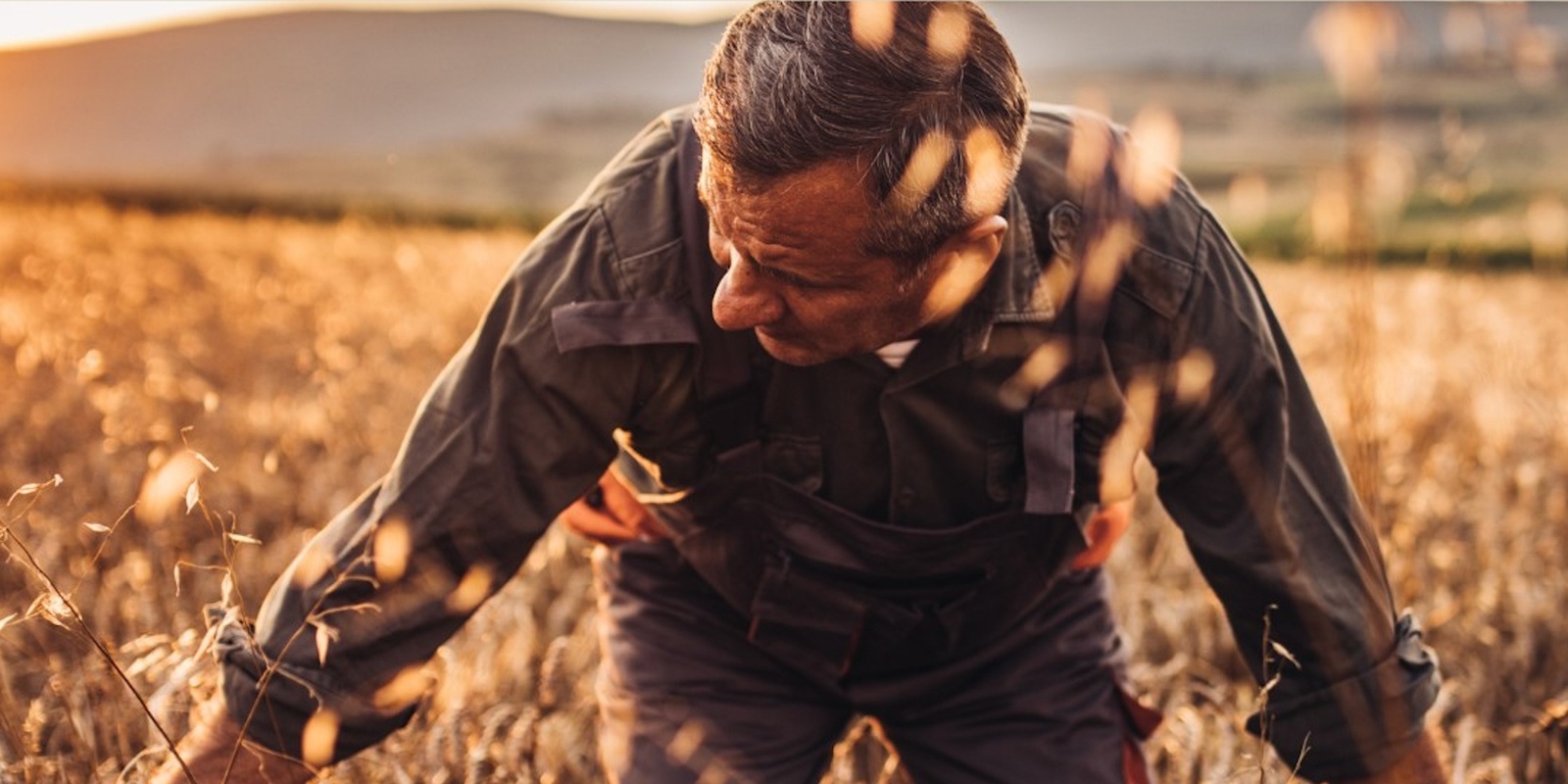 Banner image for The Future Drought Fund - Unpacked for Community Landcare