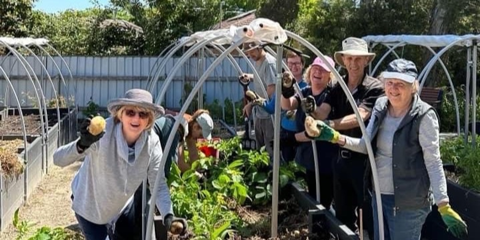 Banner image for Laurel Avenue Community Garden Open Day and Plant Sale