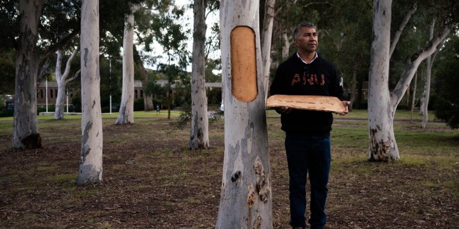 Banner image for Paul Girrawah House Tree Carving Art Commission Launch