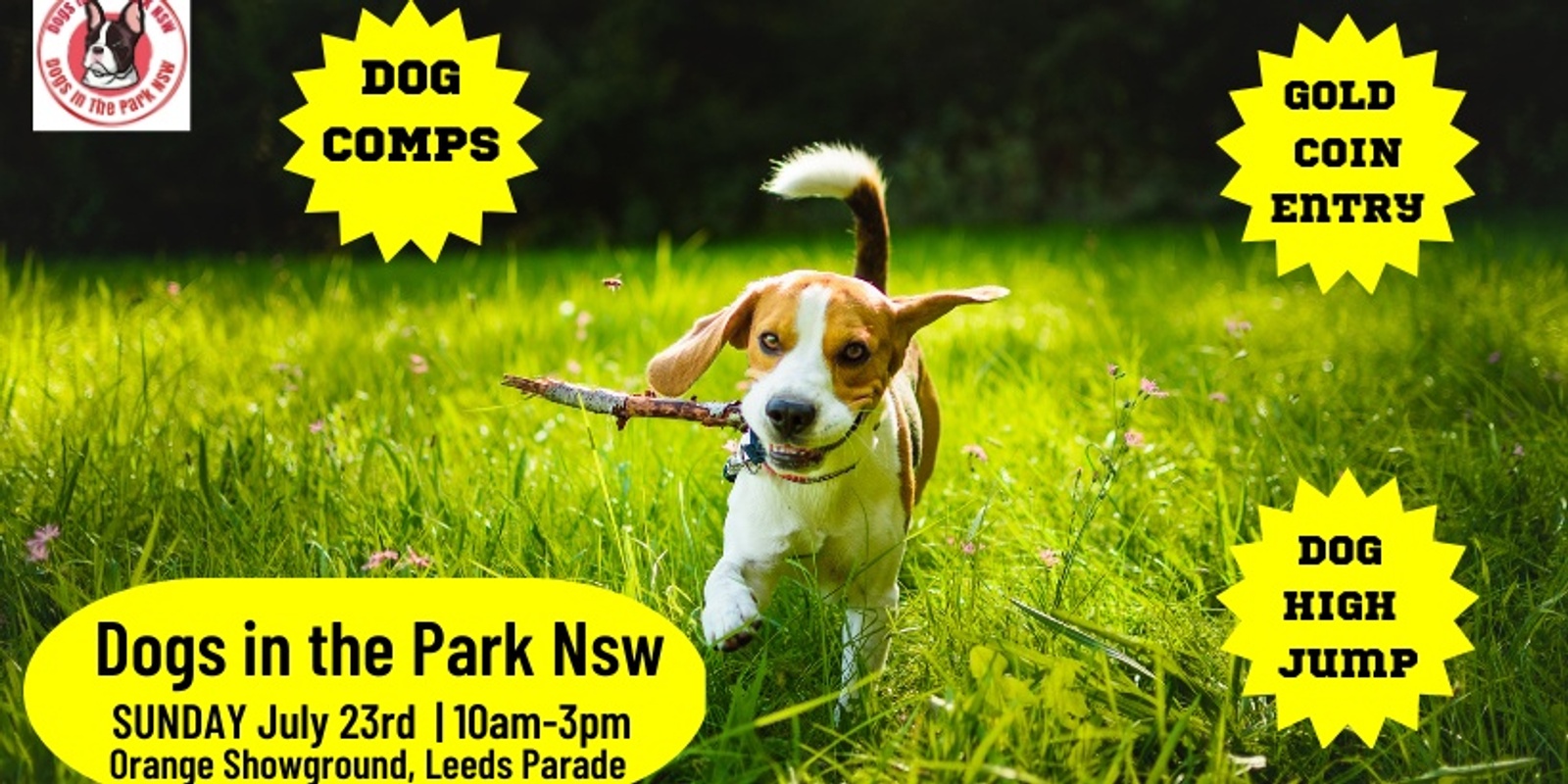 Banner image for Dogs in the park NSW Orange - Dog High Jump 