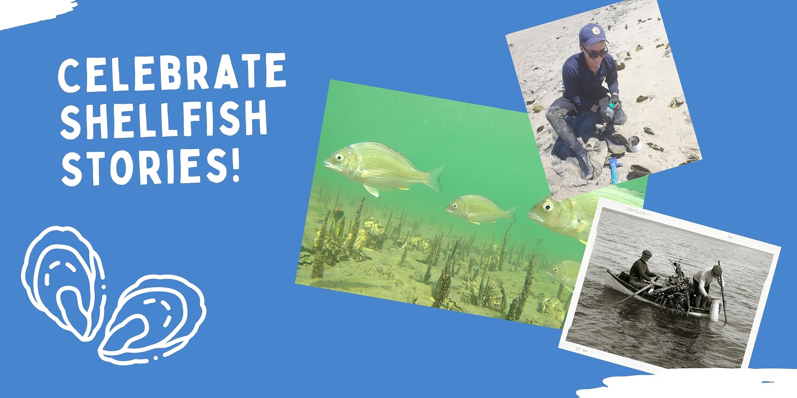 Banner image for Celebrate SA Shellfish and their Stories