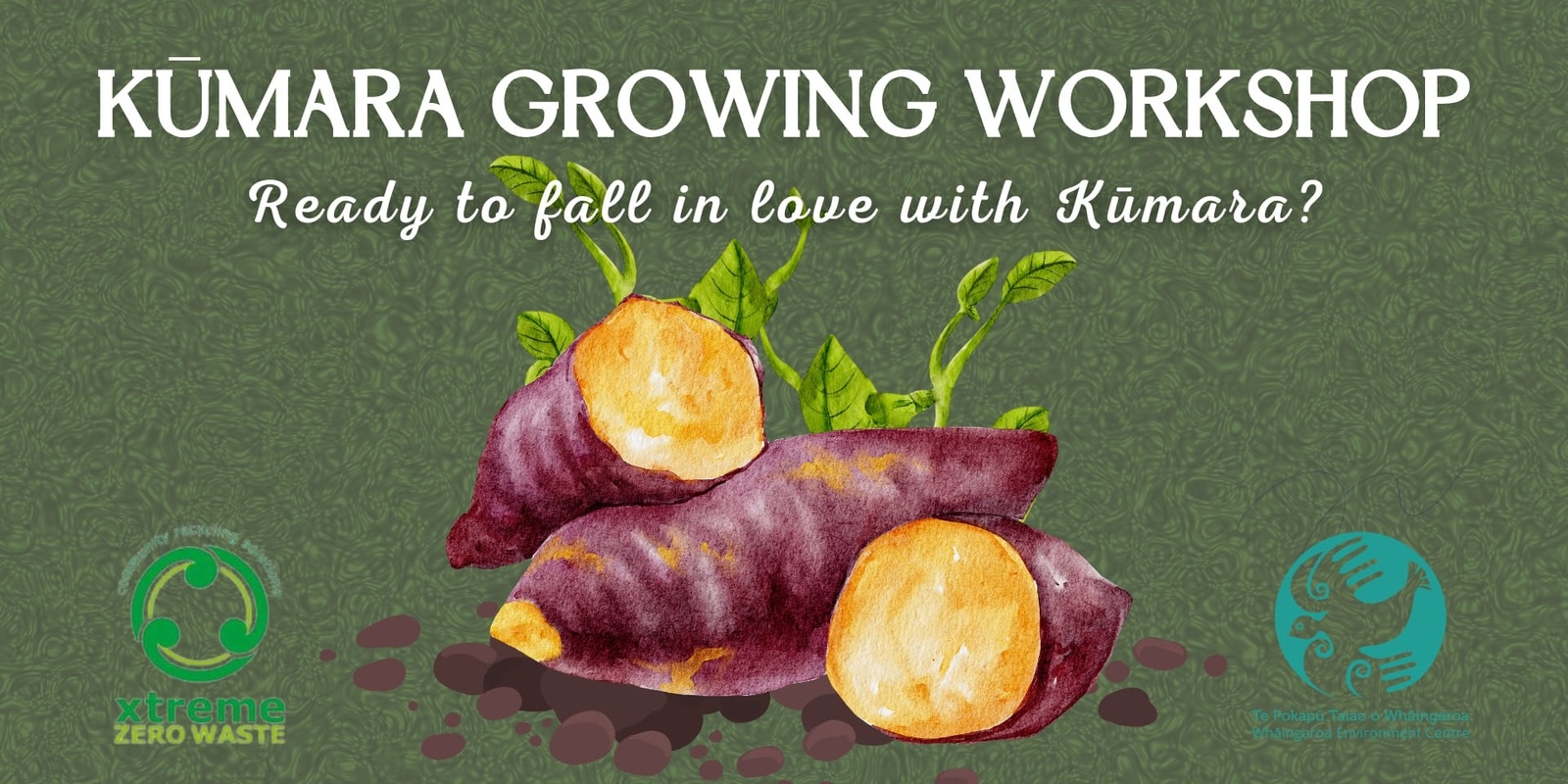 Banner image for Kūmara Growing Workshop