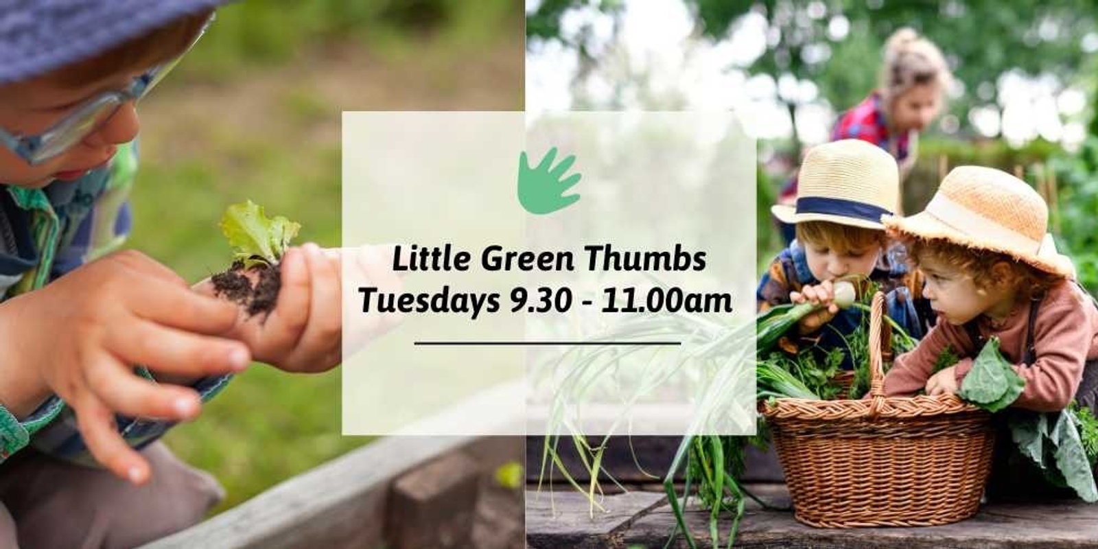 Banner image for Little Green Thumbs - Term 3