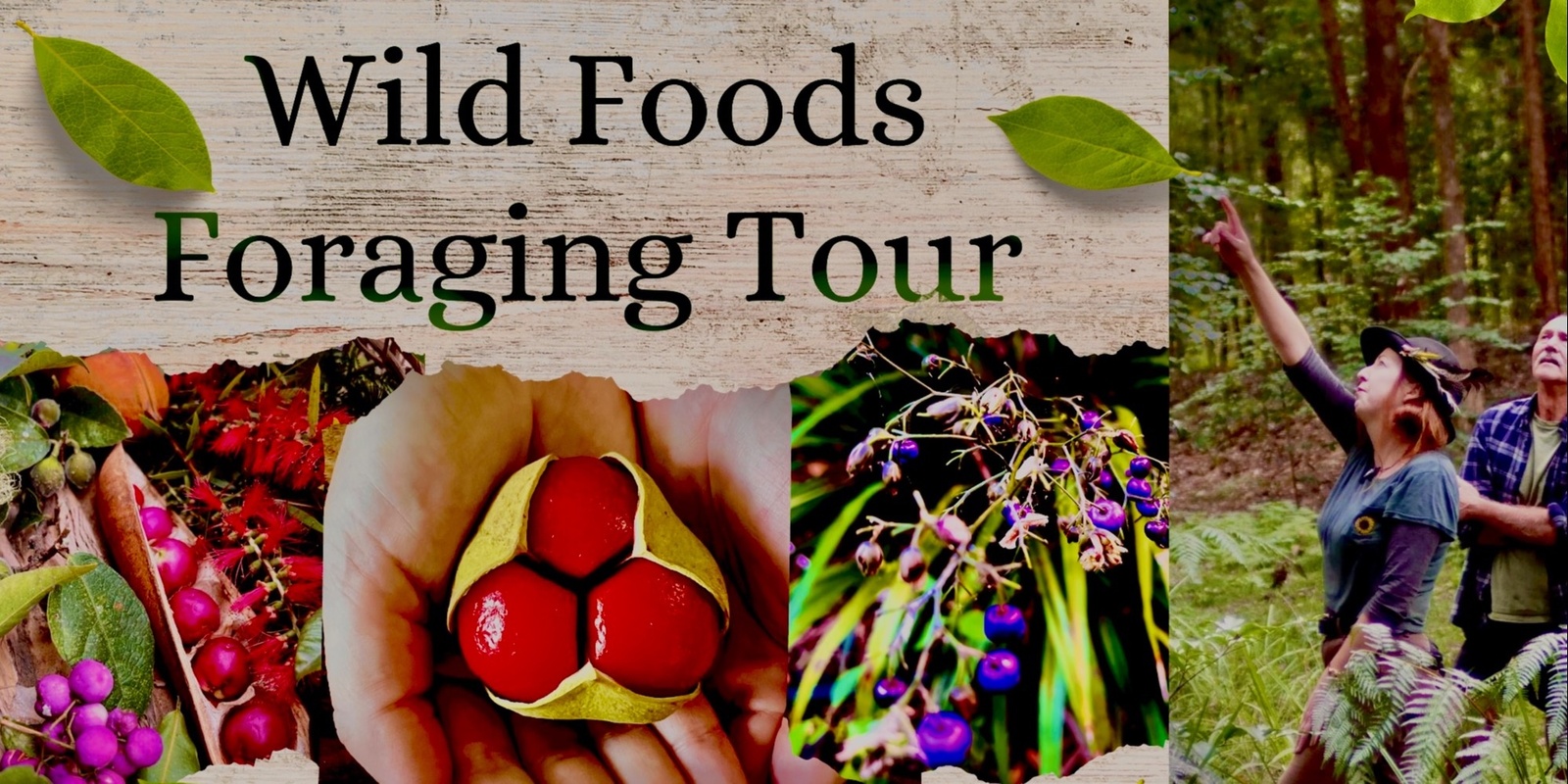 Banner image for Wild Foods Foraging Tour