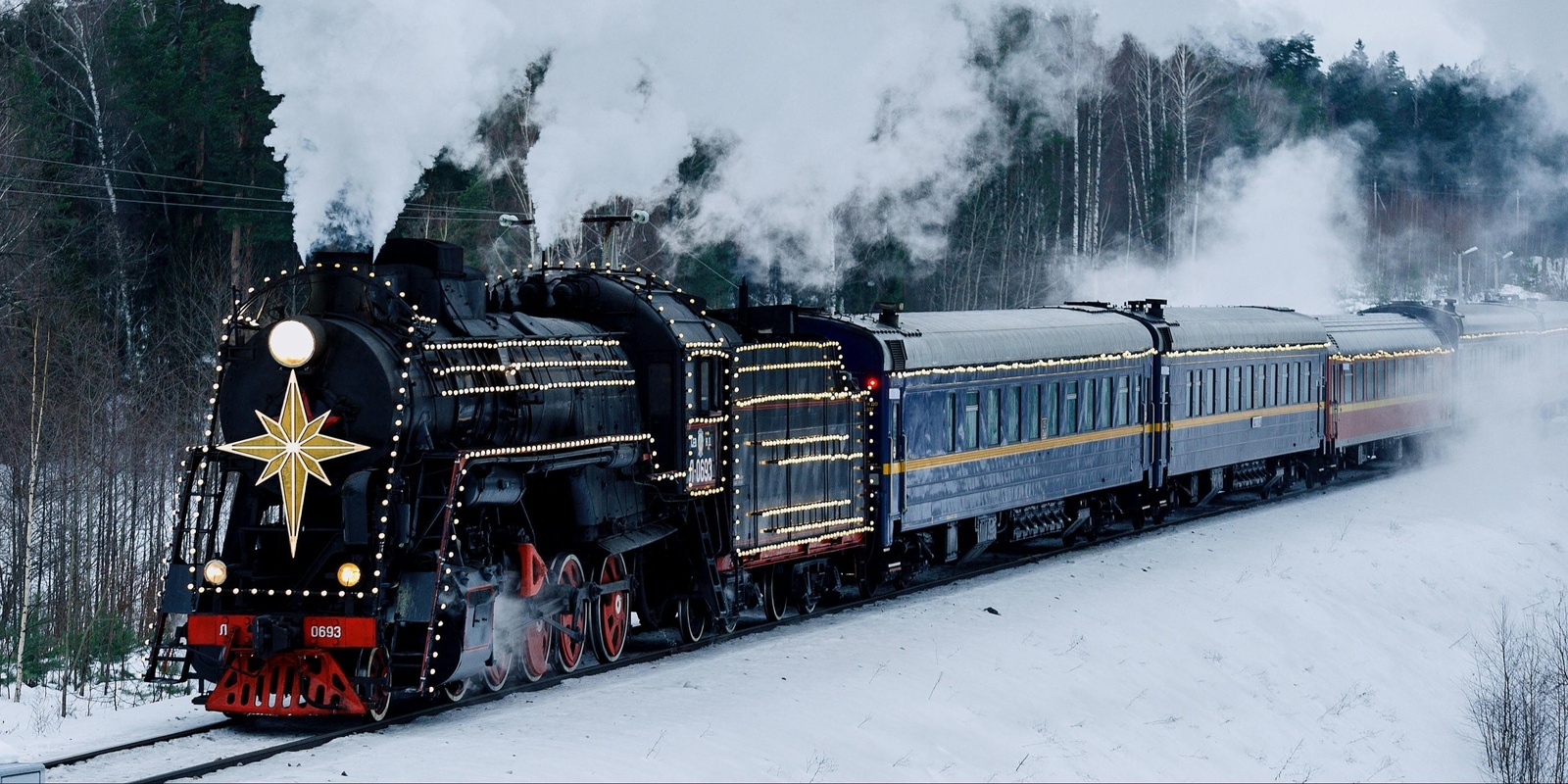 Banner image for Polar Express Night