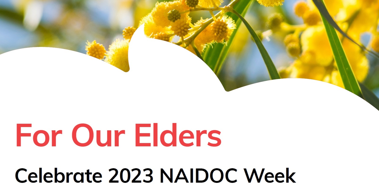 Banner image for NAIDOC Week Event at Narraweena Public School