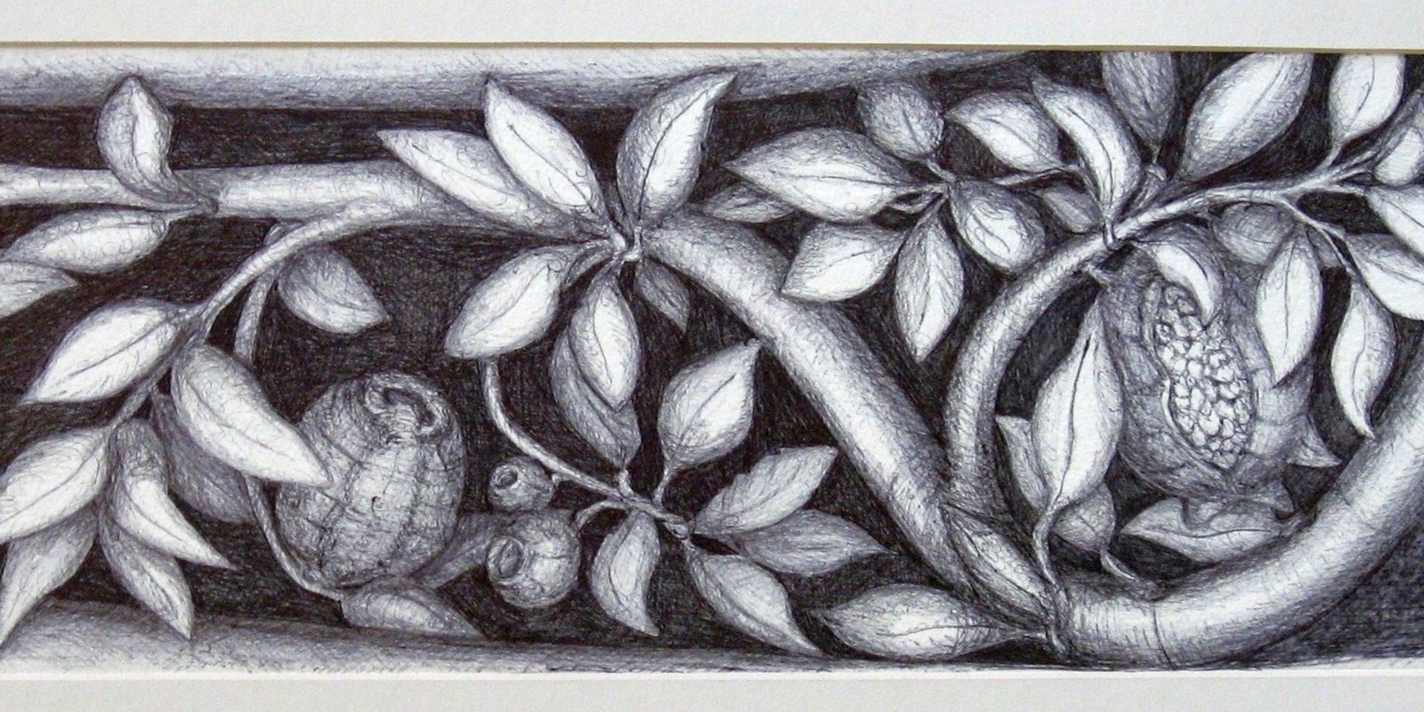 Banner image for  Art on Saturdays: Let’s Draw Botanicals with Janet Leith