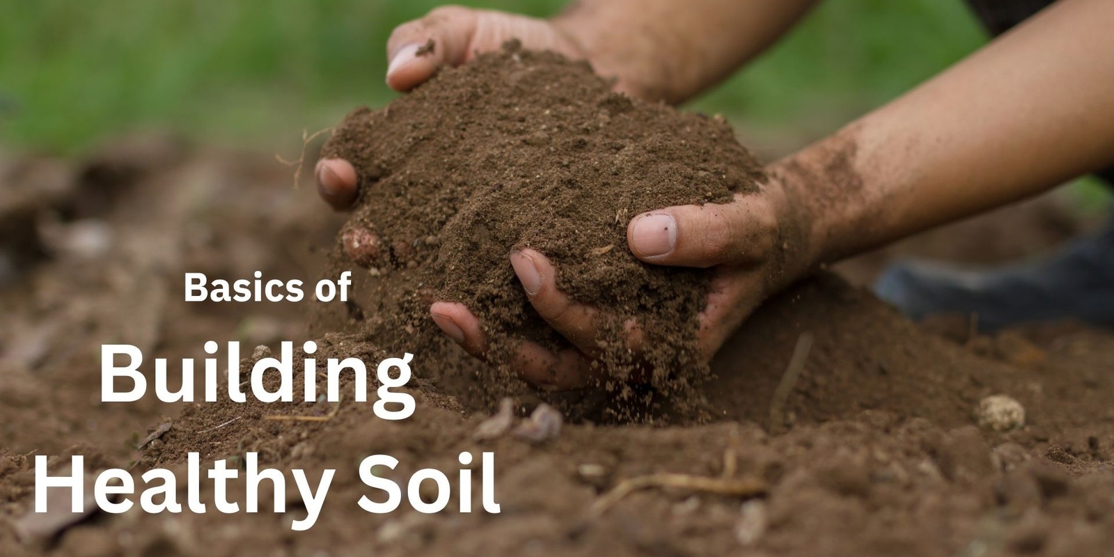 Banner image for Basics of Building Healthy Soil