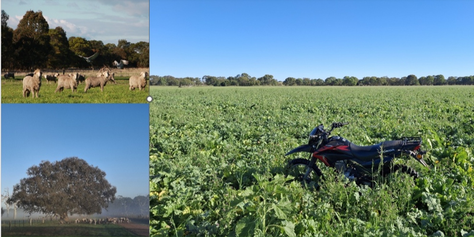 Banner image for Building Farm Resilience Workshop 