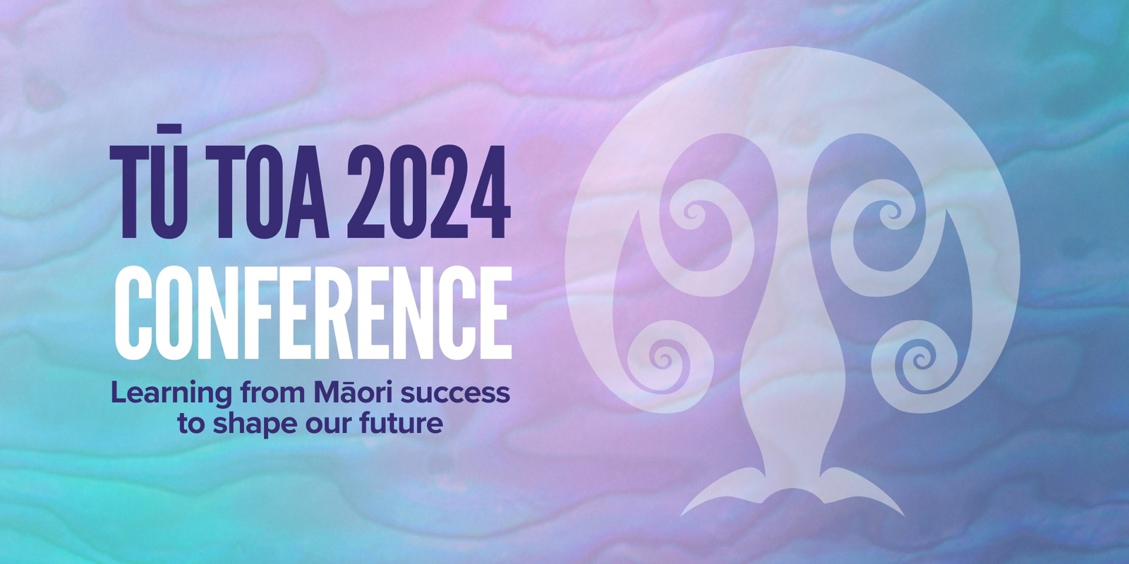 Banner image for Tū Toa Conference 2024