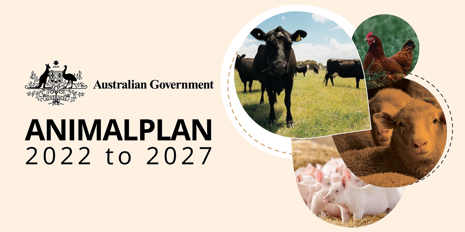 Banner image for Animalplan webinar: How research ideas become projects to strengthen production animal health and biosecurity systems