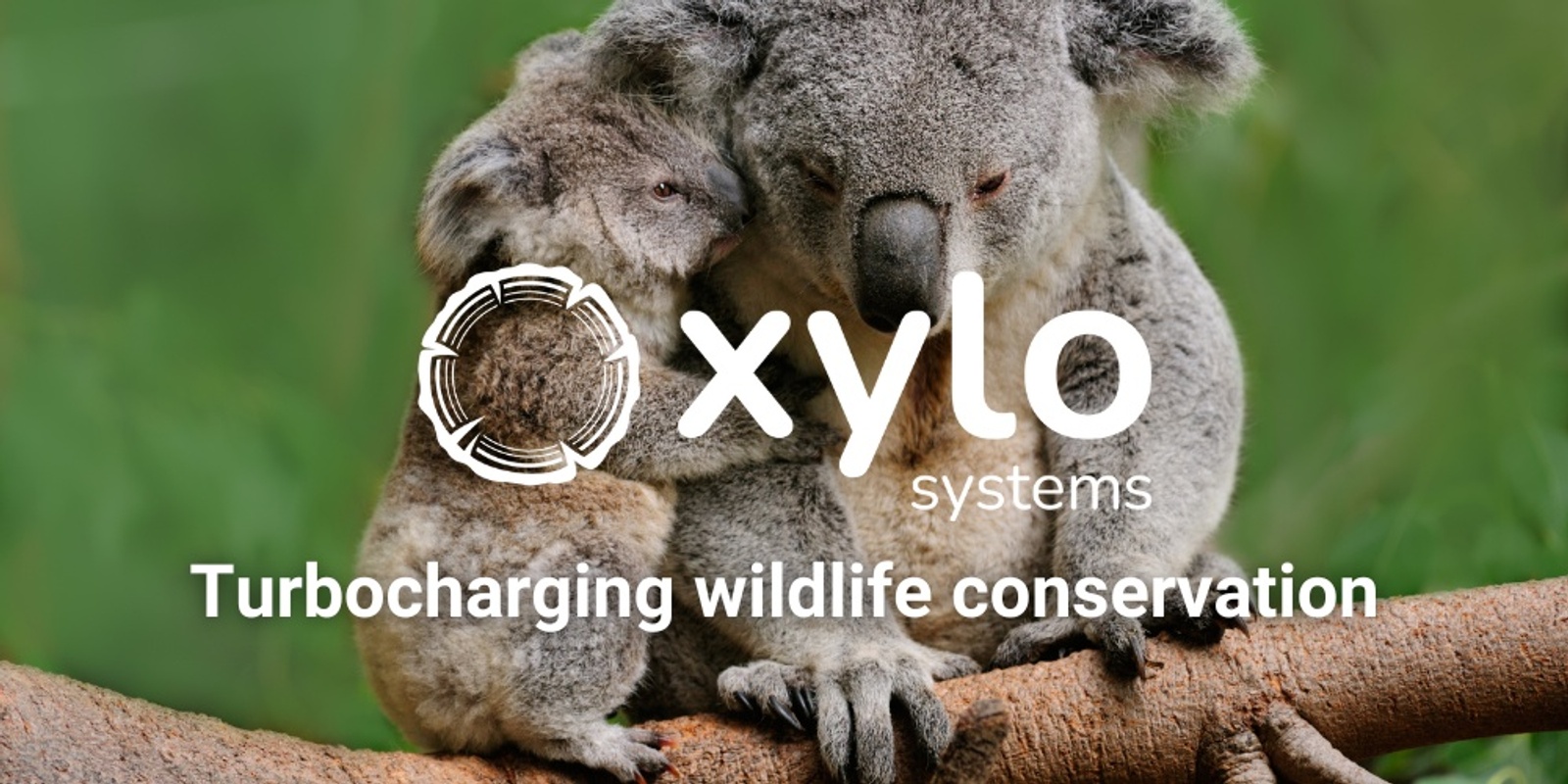 Banner image for Xylo Systems Launch: Live Demo