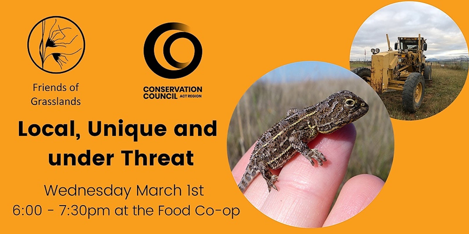Banner image for Local, Unique and Under Threat - Protect the Canberra Grassland Earless Dragon 