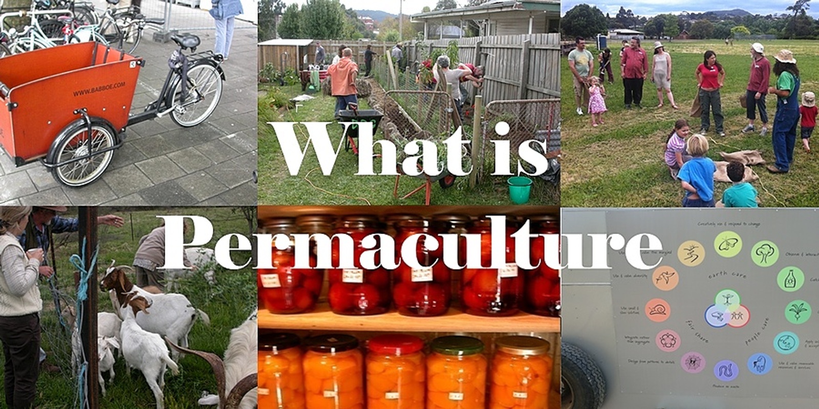 What is Permaculture? - June