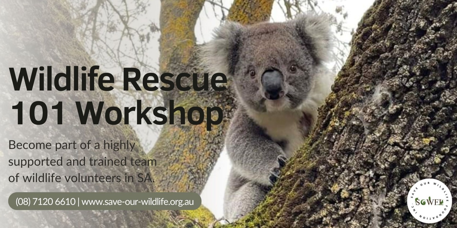 Banner image for Wildlife Rescue 101 Online & Practical Workshop