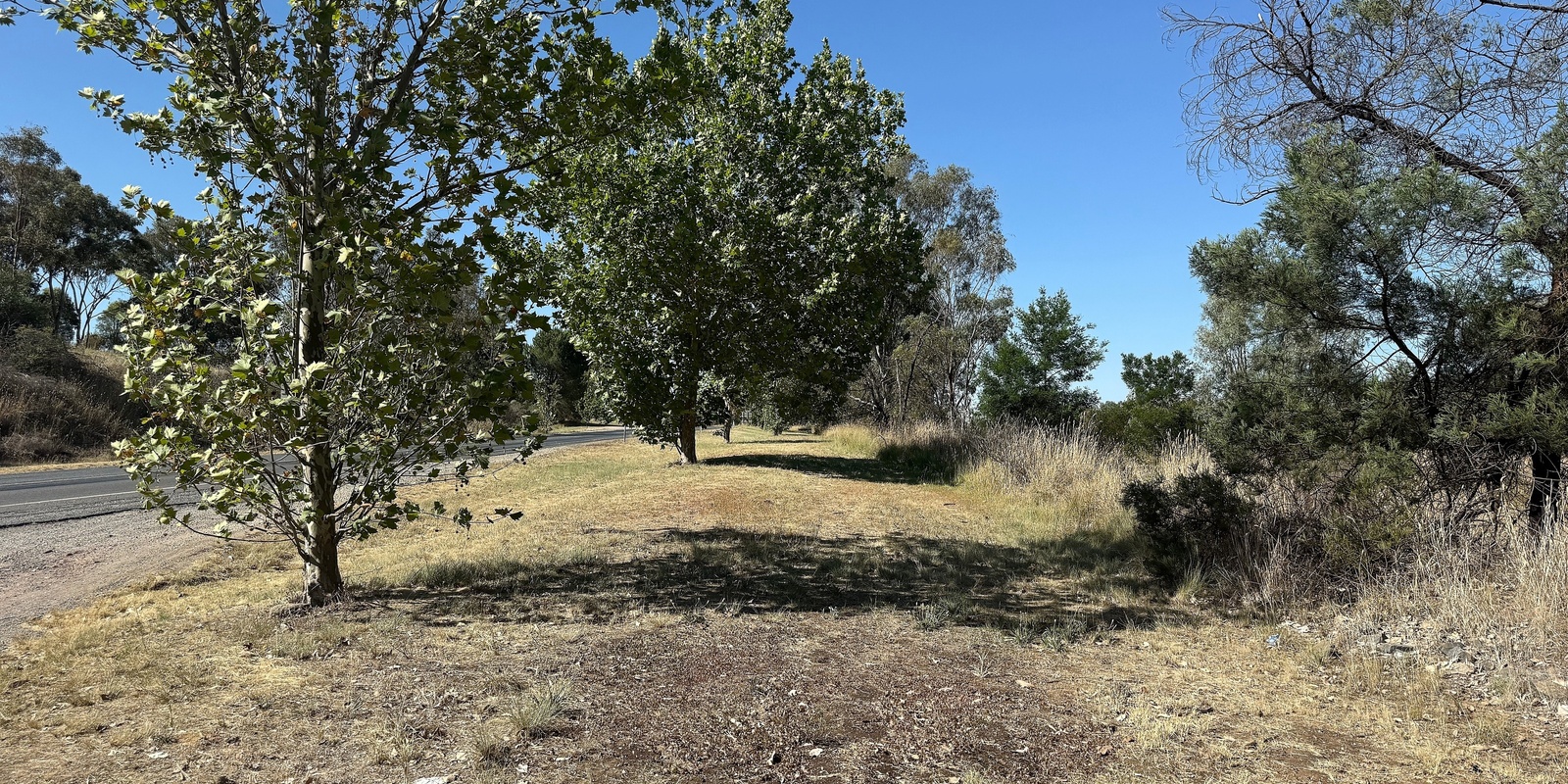 Banner image for Wagga Road Reserve Community Stewardship Morning