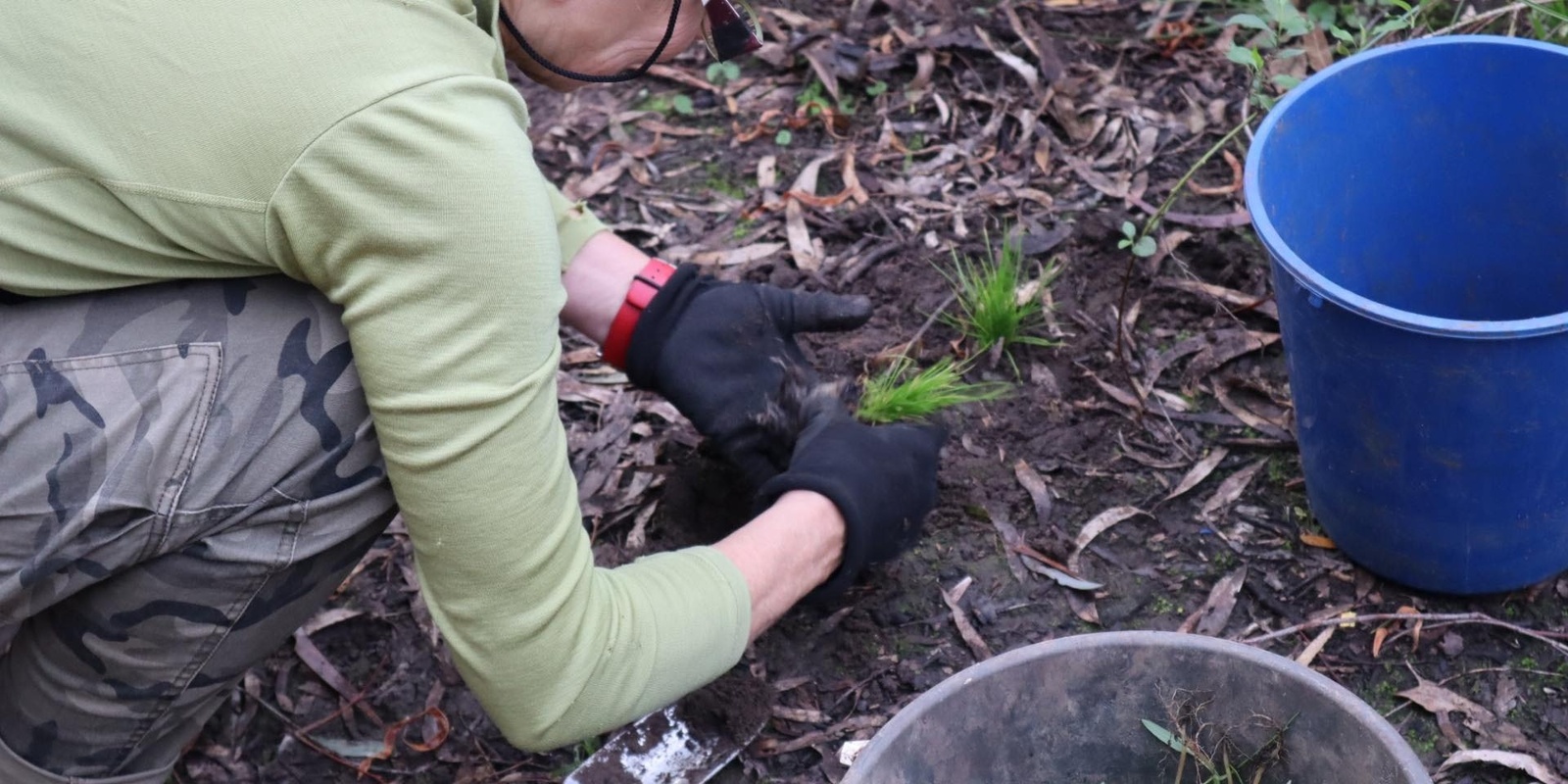 Banner image for May Park Care Day at Darebin Parklands