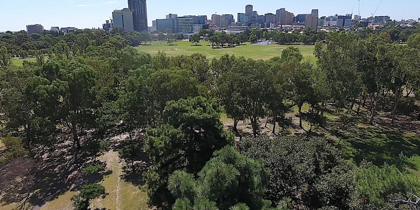 Banner image for Guided Walk through Blue Gum Park / Kurangga (Park 20)