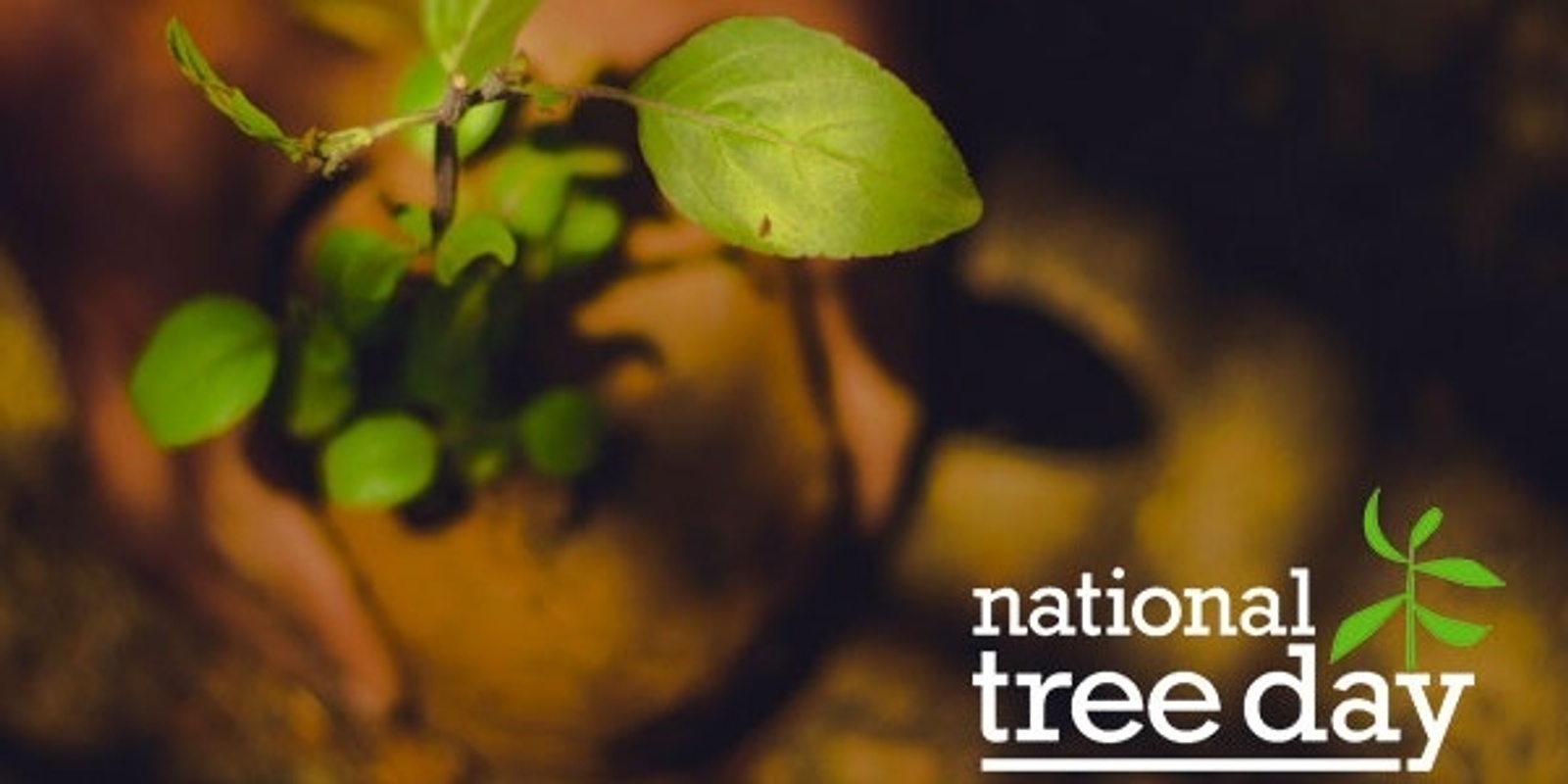 Banner image for National Tree Day - Camperdown Campus