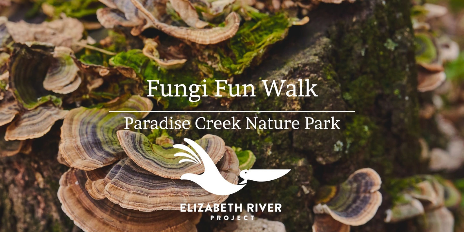 Banner image for Fungi Fun Walk