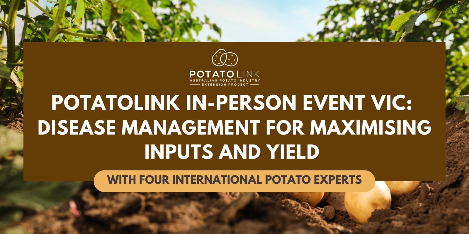 Banner image for PotatoLink in-person event, Thorpdale, Vic: Disease management for maximising inputs and yield with international experts
