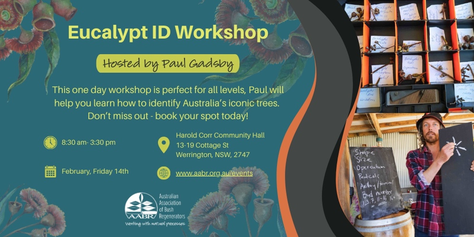 Banner image for Eucalypt ID Workshop with Gum Guru Gadsby - Friday 14th Feb, Western Sydney, NSW