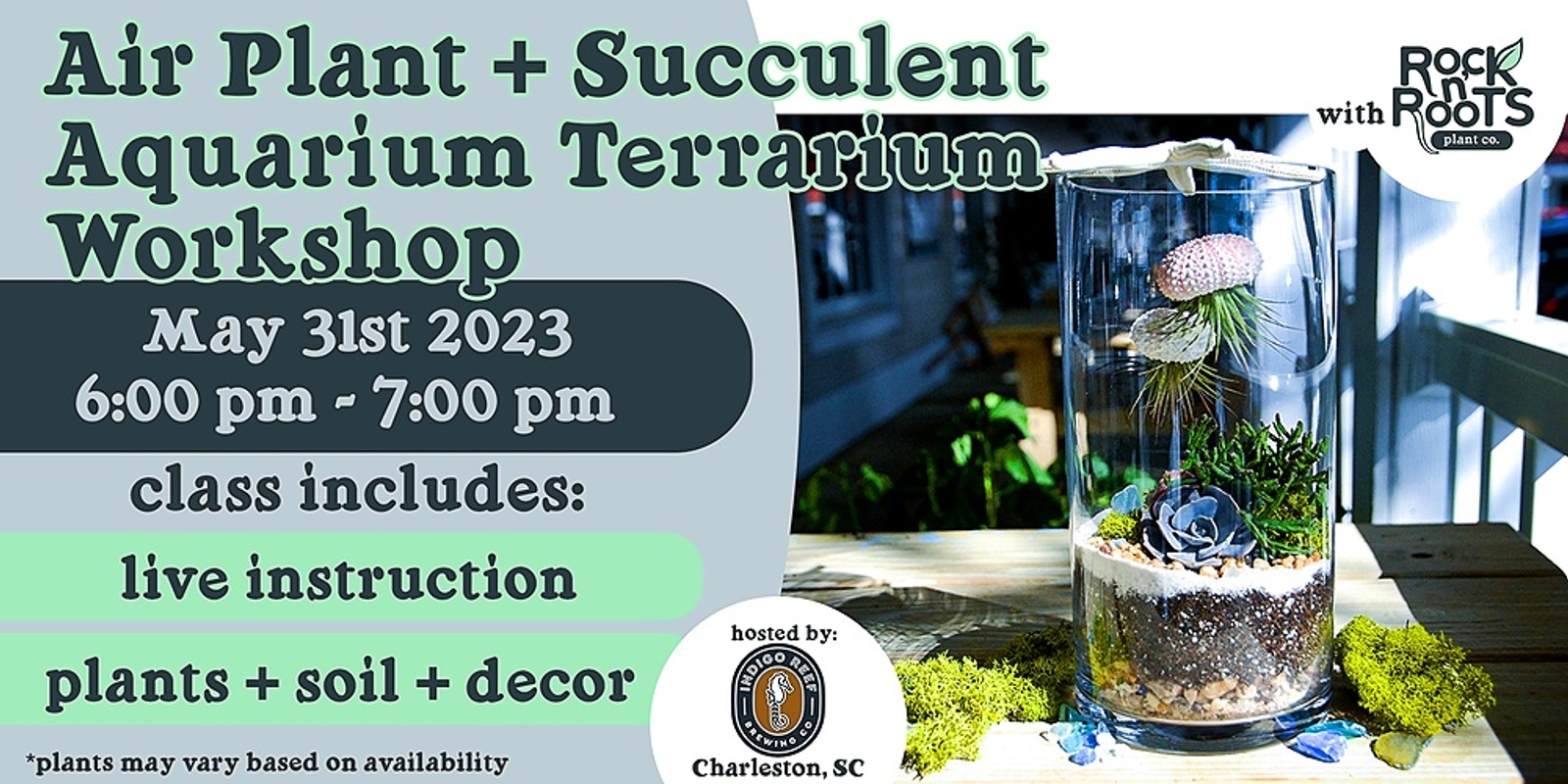 Banner image for Air Plant + Succulent Aquarium Terrarium Workshop at Indigo Reef Brewing (Charleston, SC)
