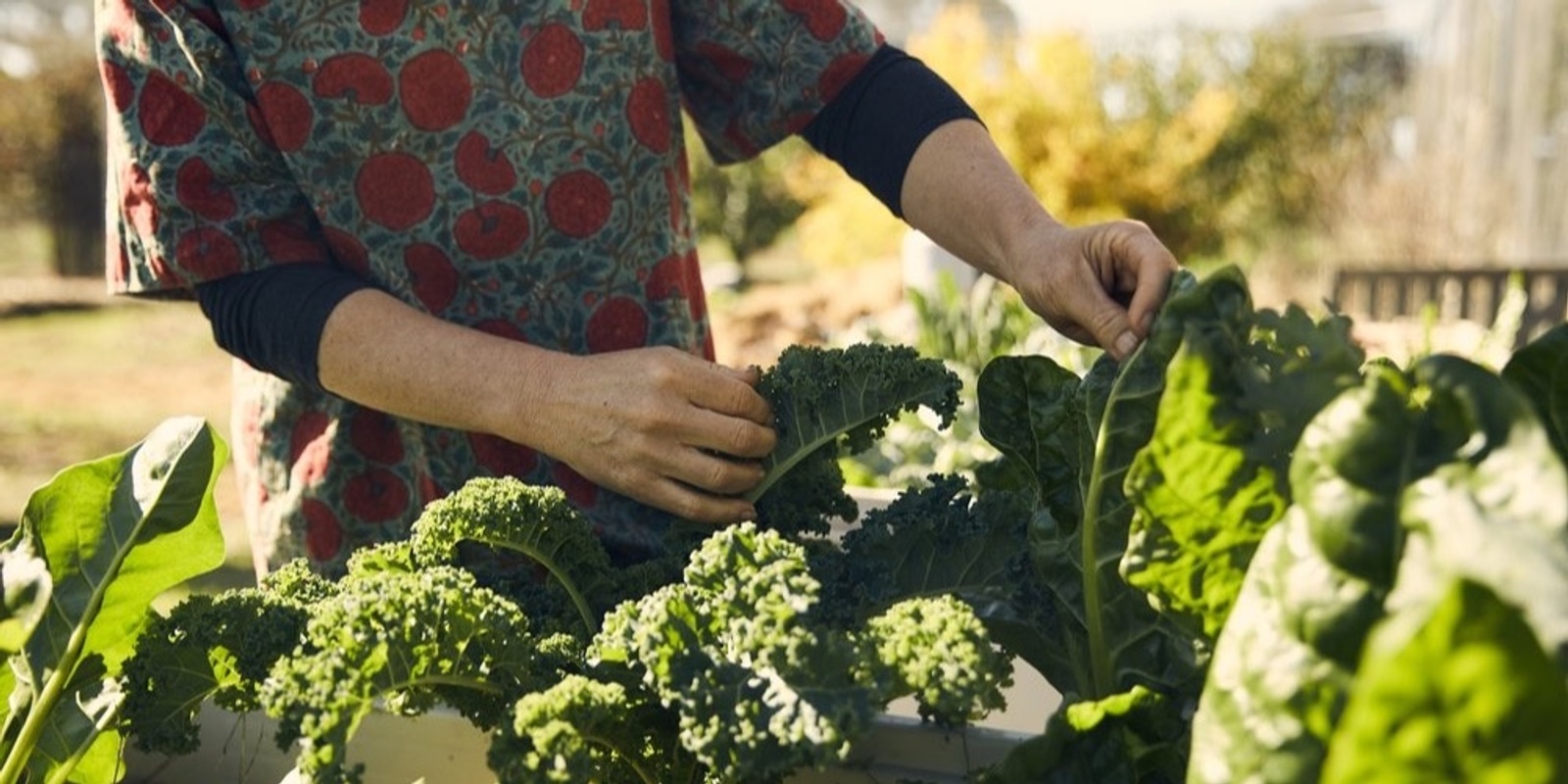 Banner image for A Resilient Food Future for the Hills and Fleurieu region 