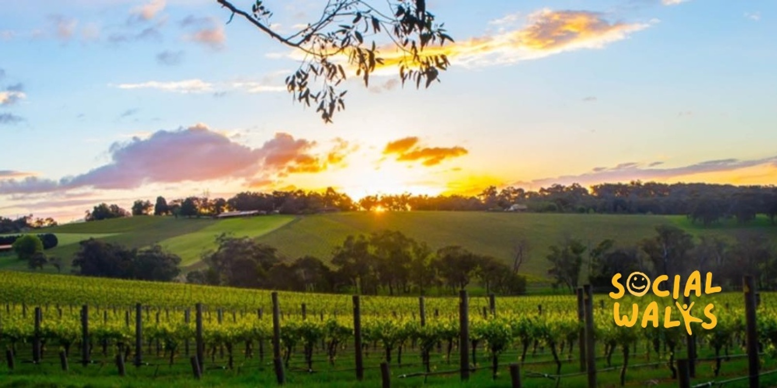 Banner image for Melbourne Social Walks - Limo Bus Winery Tour Sunday Sesh! (3 Tastings + Lunch Included)