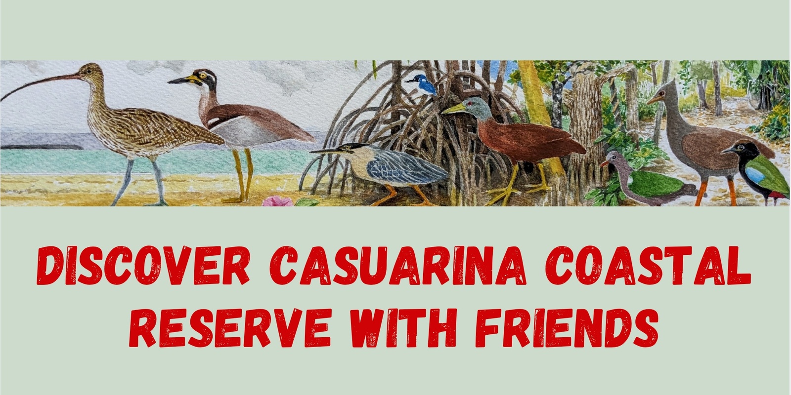 Banner image for Discovery Walks Casuarina Coastal Reserve