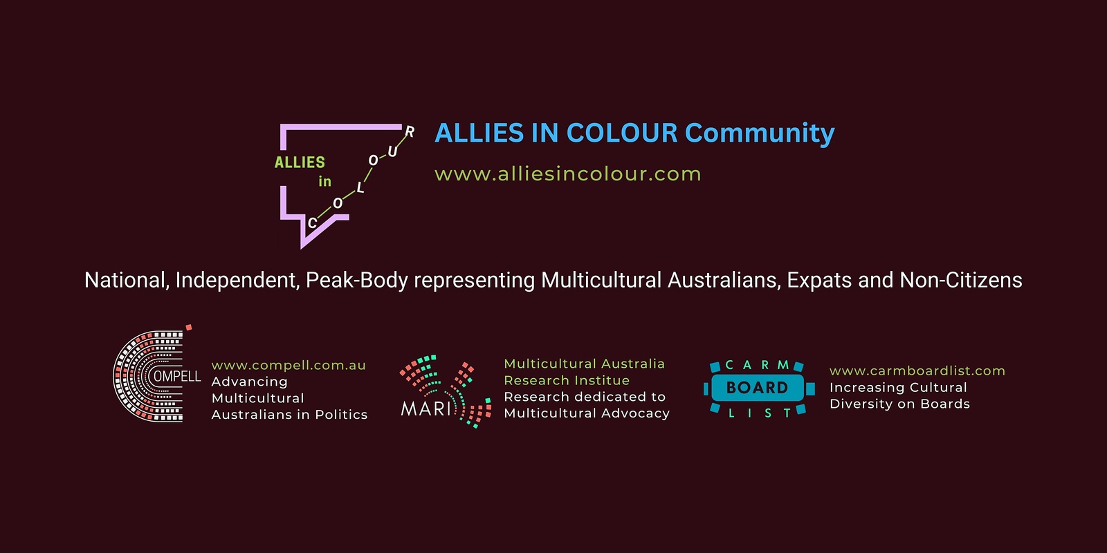 Allies in Colour's banner