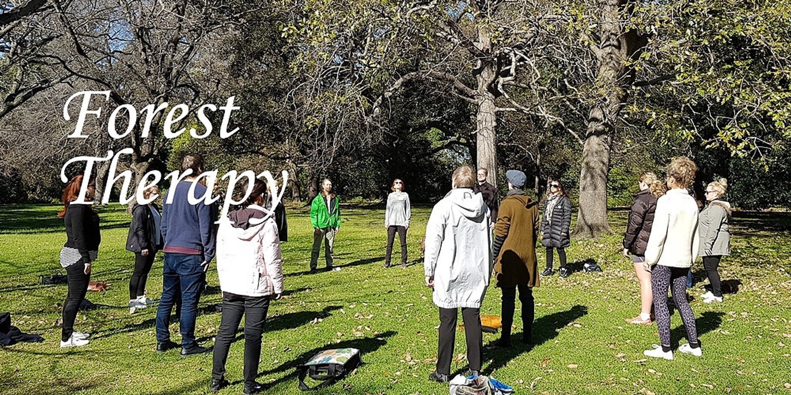 Forest Therapy - Royal Botanic Gardens Sydney