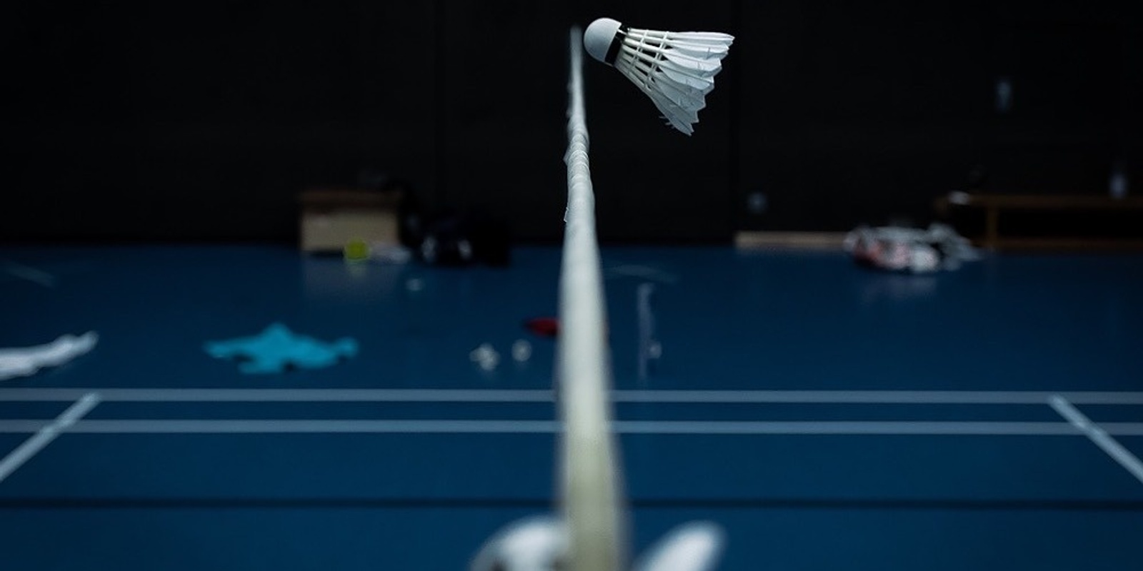 Banner image for Fortnightly badminton social