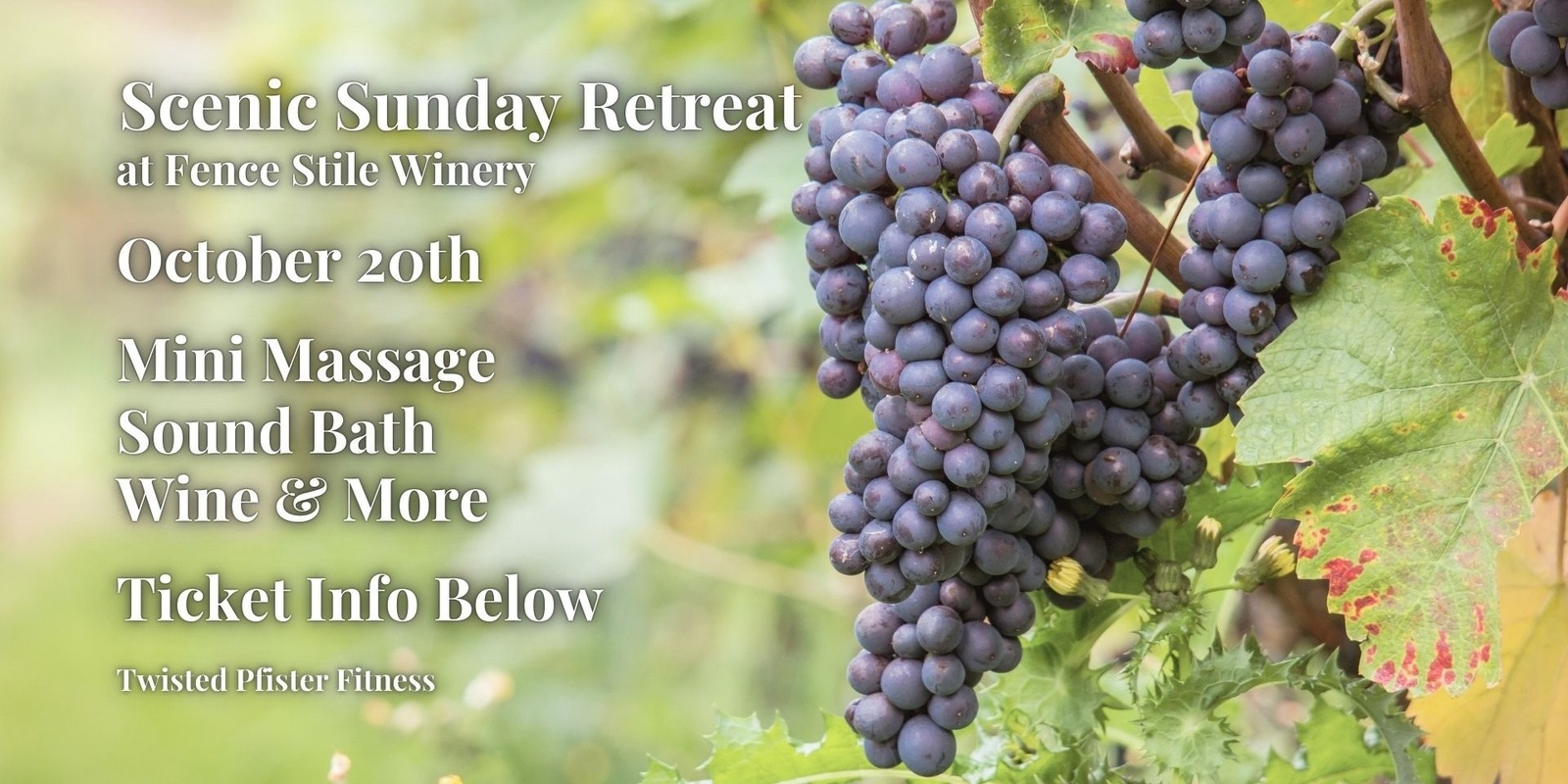 Banner image for Scenic Sunday Total Relaxation Retreat / Sips & Sounds in the Wine Cave at the Scenic Sunday Retreat 