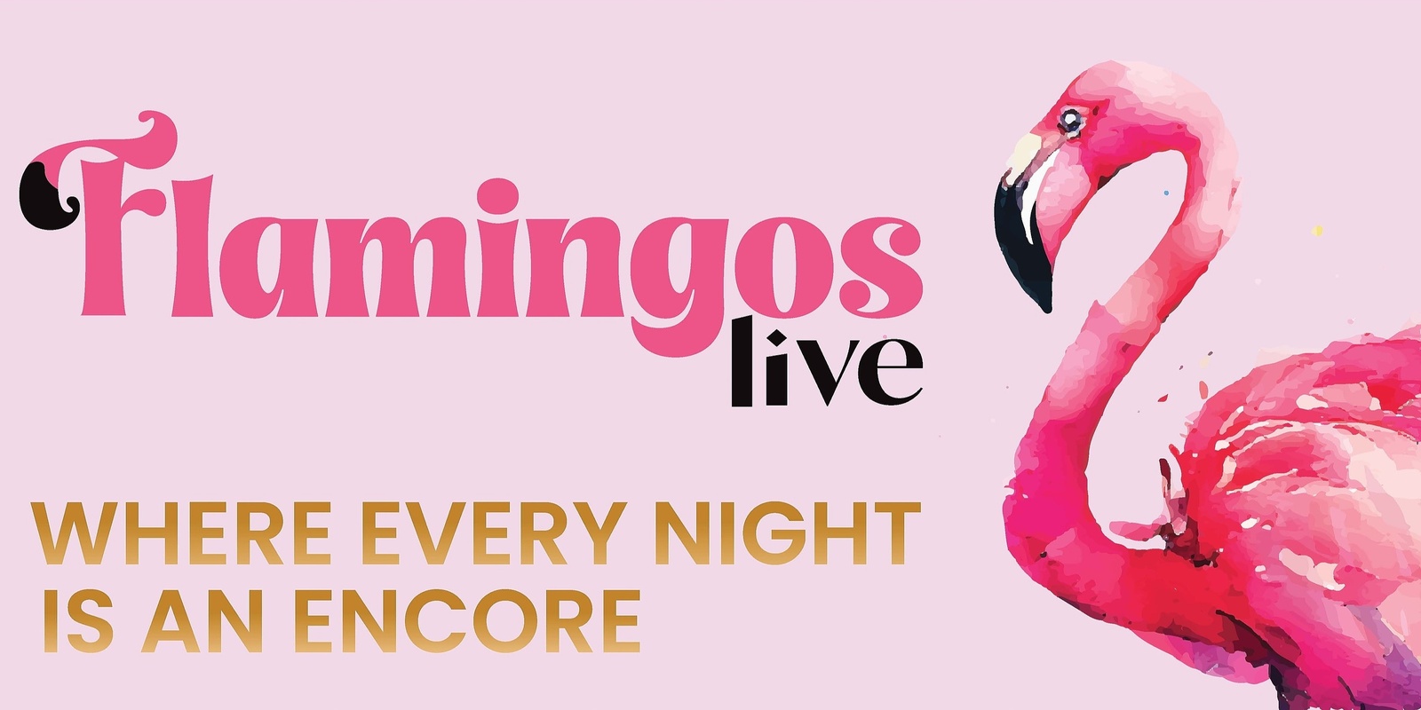 Flamingos Live's banner