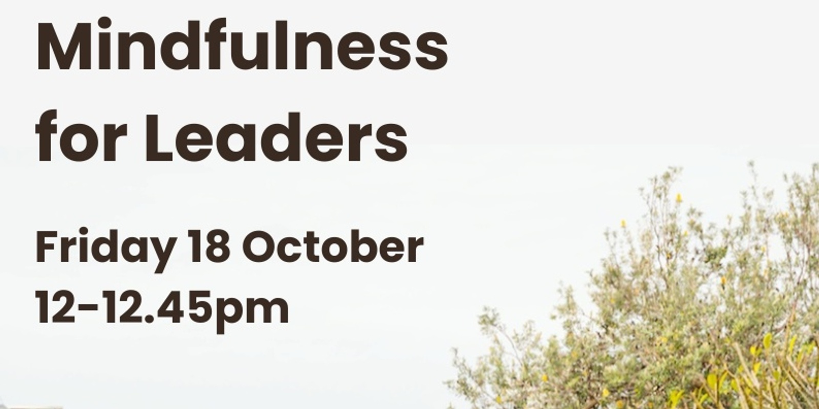 Banner image for Mindfulness for Leaders