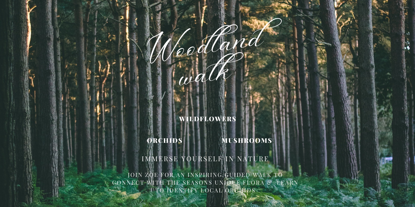 Banner image for Woodland Walk