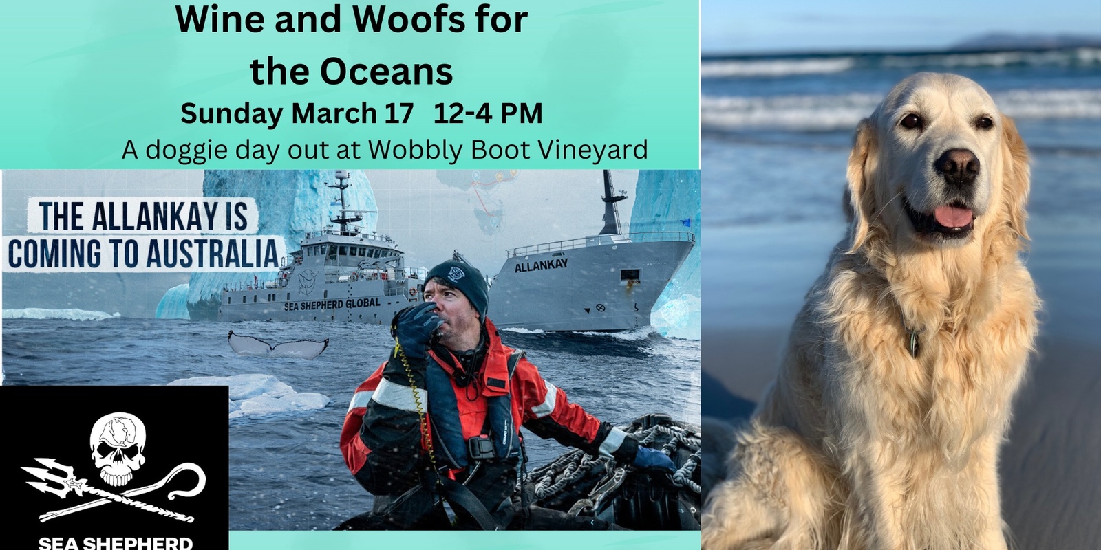 Banner image for Wine and Woofs for the Oceans