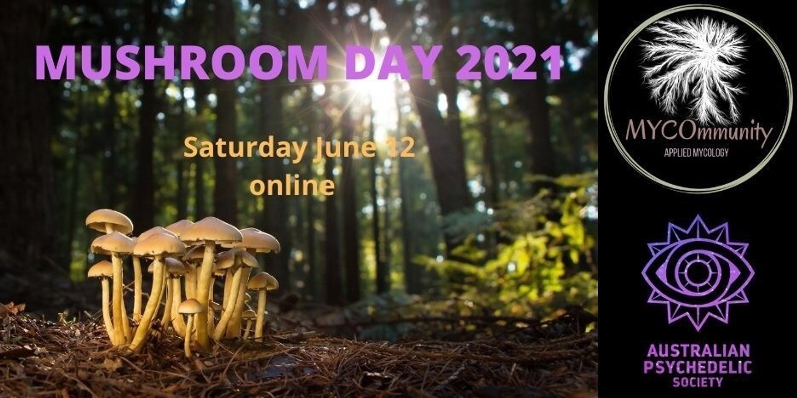 Banner image for Mushroom Day 2021