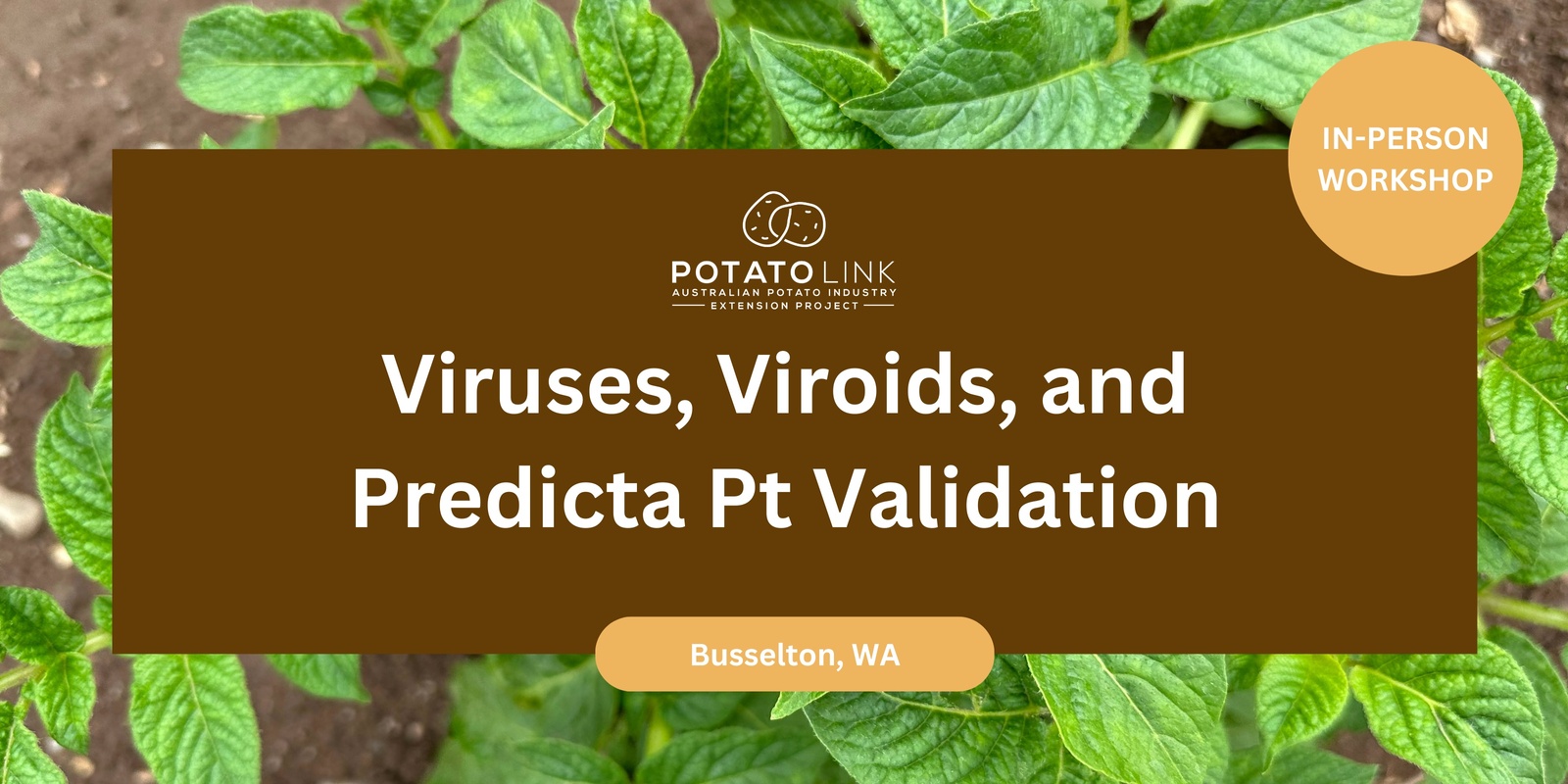 Banner image for WA Potato Workshop - Viruses, Viroids and Predicta Pt Validation